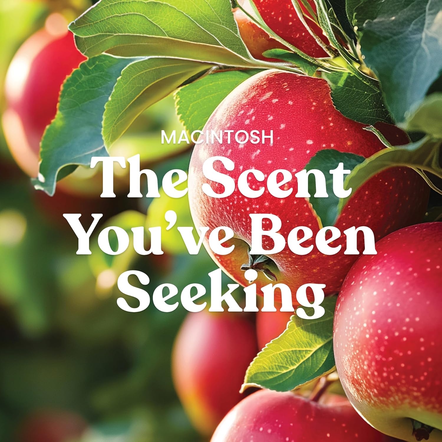 Yankee Candle Large Jar Scented Candle with up to 150 Hour Burn Time, Premium Plant Wax Blend for Consistent Burn, 22 oz Jar Candle with Room Filling Fragrance, Macintosh - Image 3