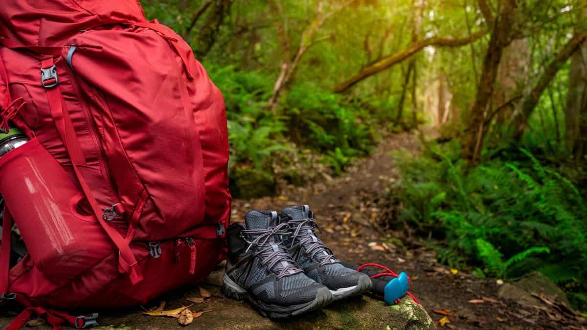 Best Hiking Gear Checklist for Beginners