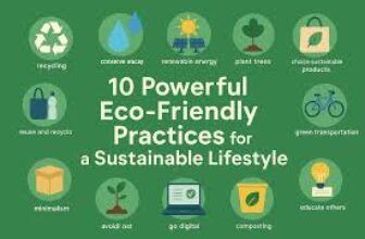 10 practical ways to practice sustainability in everyday life