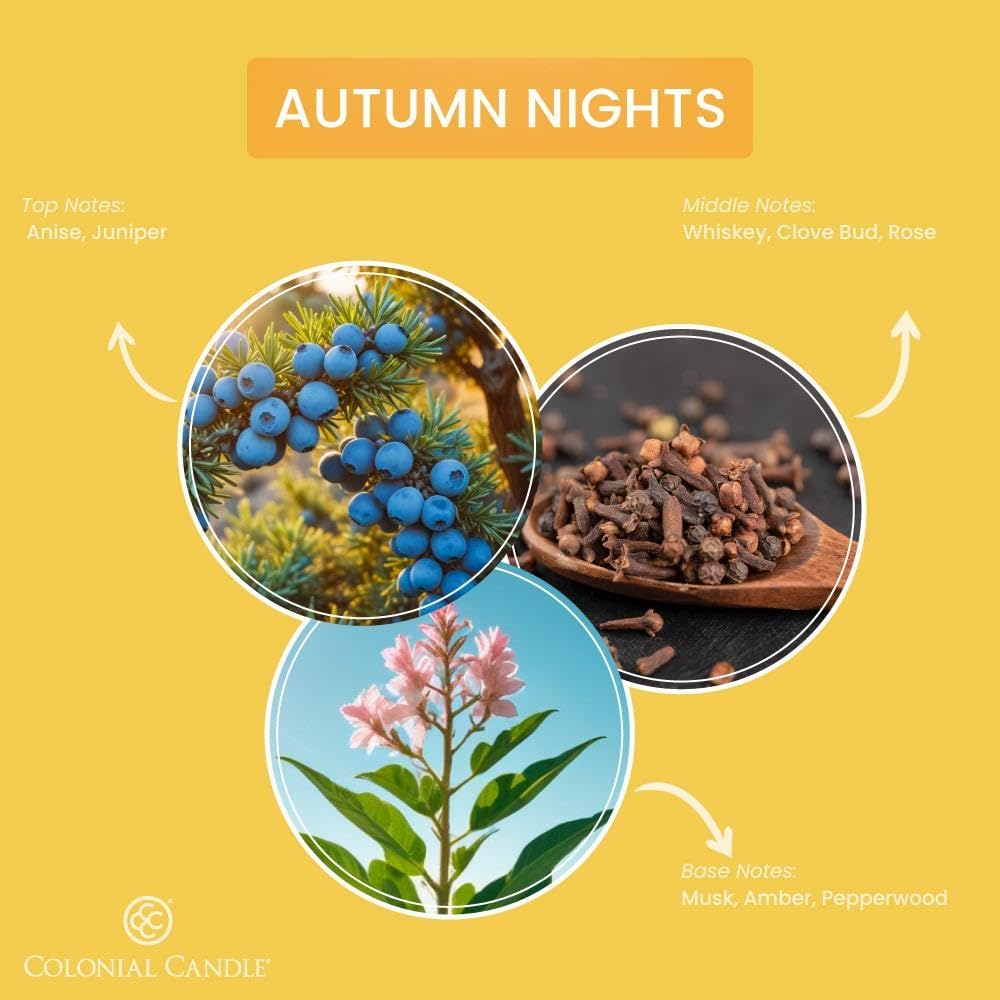 Colonial Candle Autumn Nights Scented Jar Candle, Pop of Color Collection, 3 Wick, Yellow, 14.5 oz - Up to 60 Hours Burn - Image 3