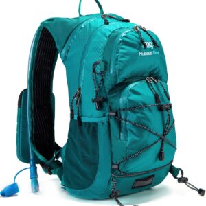 Insulated Hydration Backpack Pack with 2L Water Bladder Lightweight 22L Hiking Backpack Bag for Women Men Daypack for Hiking Running Festival Camping Biking