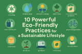 10 Simple Eco-Friendly Lifestyle Tips for Beginners